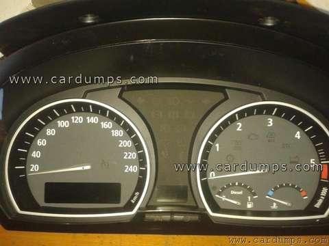 Photo of 2009 BMW E83