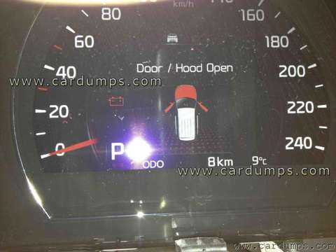Photo of 2013 Kia Sorento