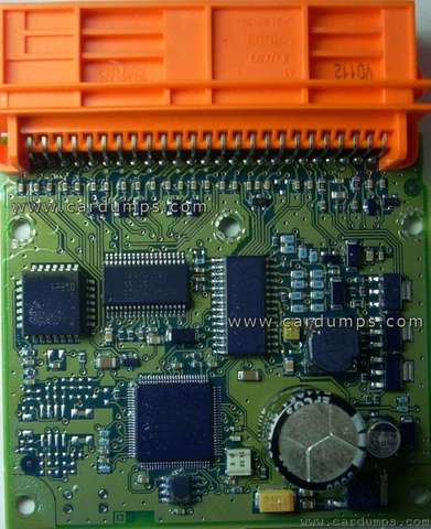 Photo of Vortex Estina