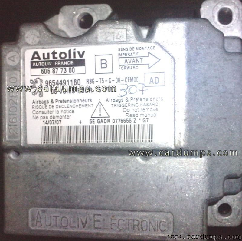 Peugeot 307 airbag 95320 96 544 911 80 Autoliv  606 87 73 00