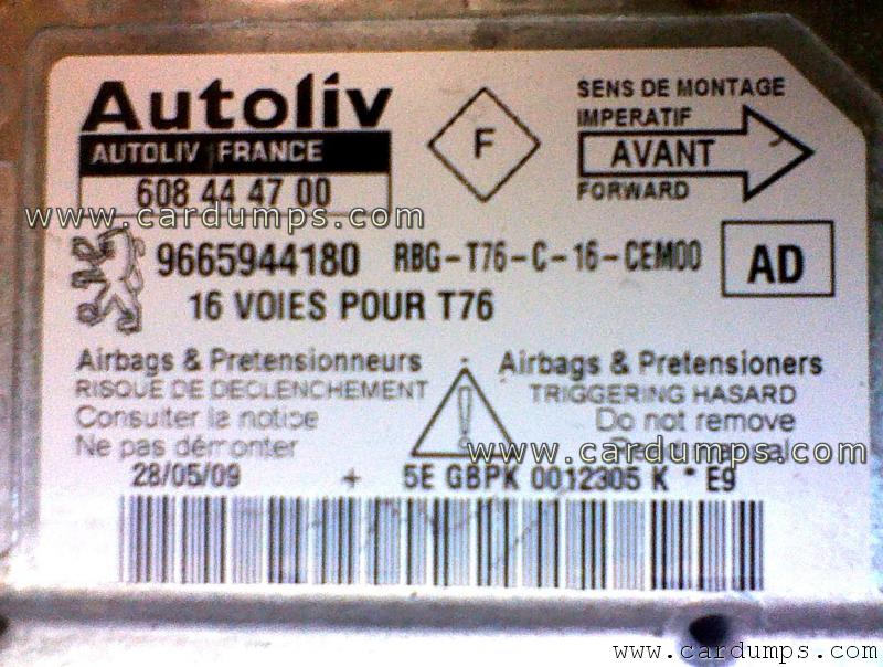 Peugeot 307 airbag 95320 96 659 441 80 Autoliv 608 44 47 00